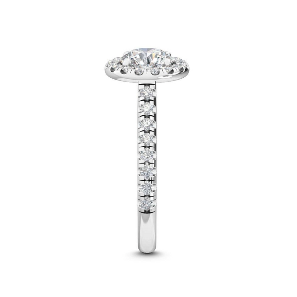 
                      
                        Carrisa Halo Solitaire Engagement Ring
                      
                    